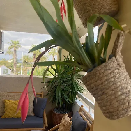 Appartement The House Playa Del Arenal Javea - Pool And Garden Steps From The Platja de Larenal